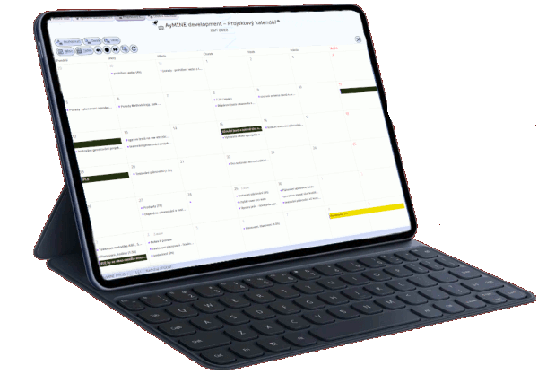 Project calendar